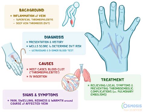 Thrombophlebitis .